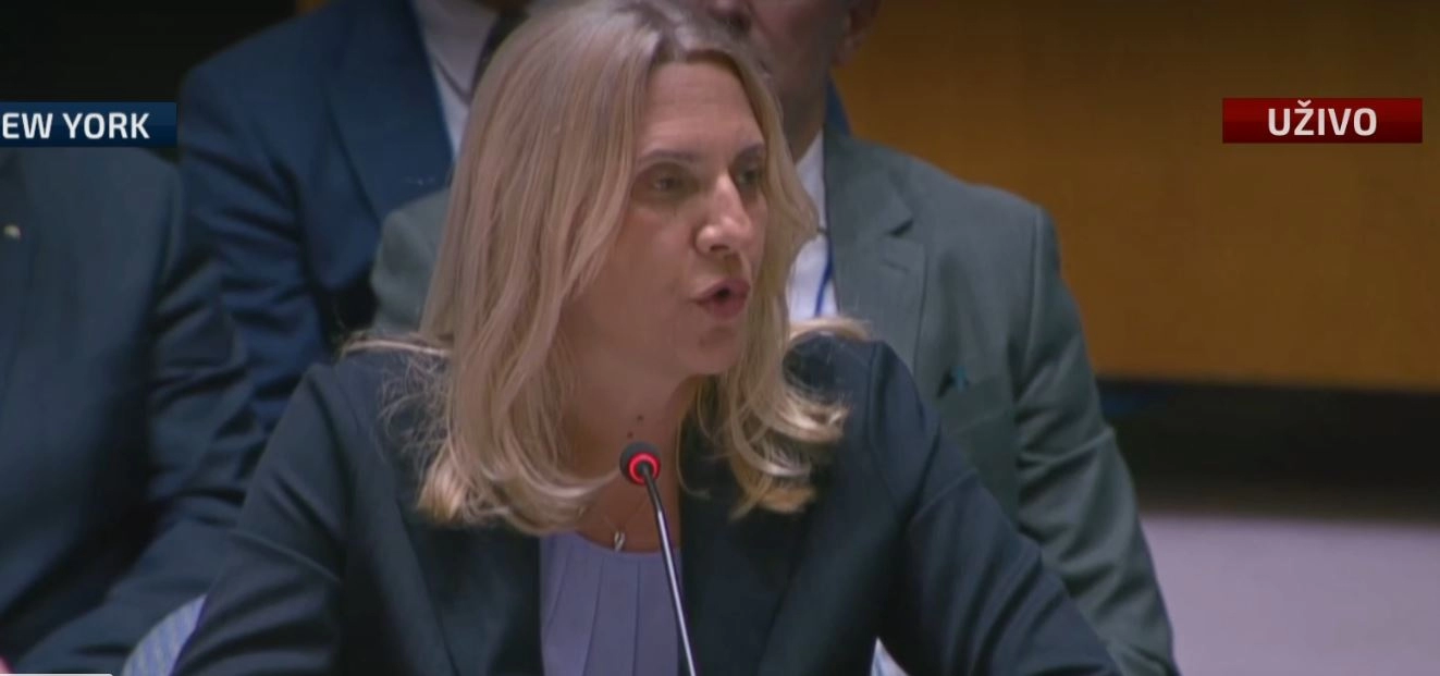 Cvijanović: Pozivam Vijeće da hitno organizuje glasanje o potvrdi Schmidta!